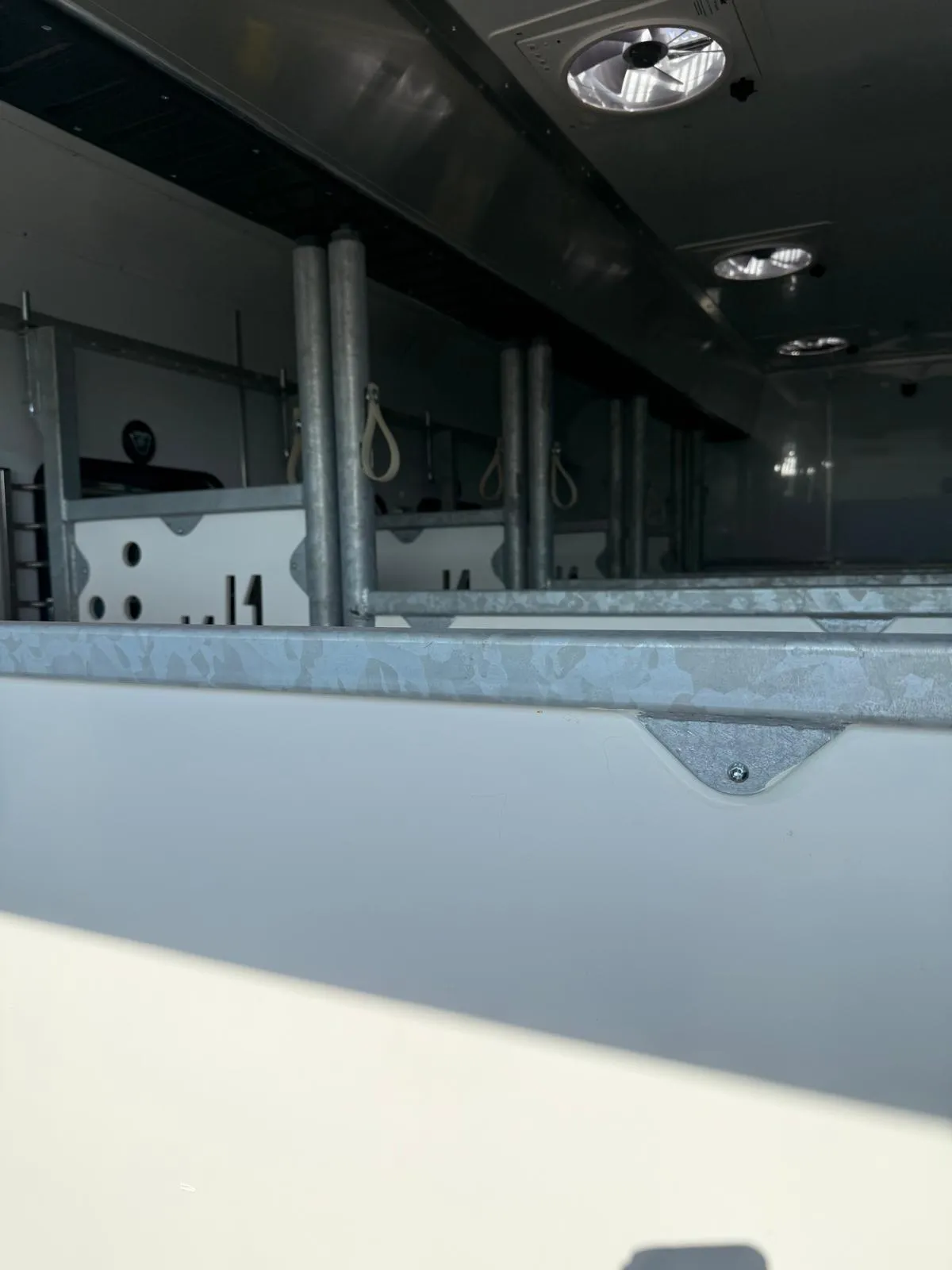 Bespoke horsebox build 29 by North Norfolk Vehicle Solutions