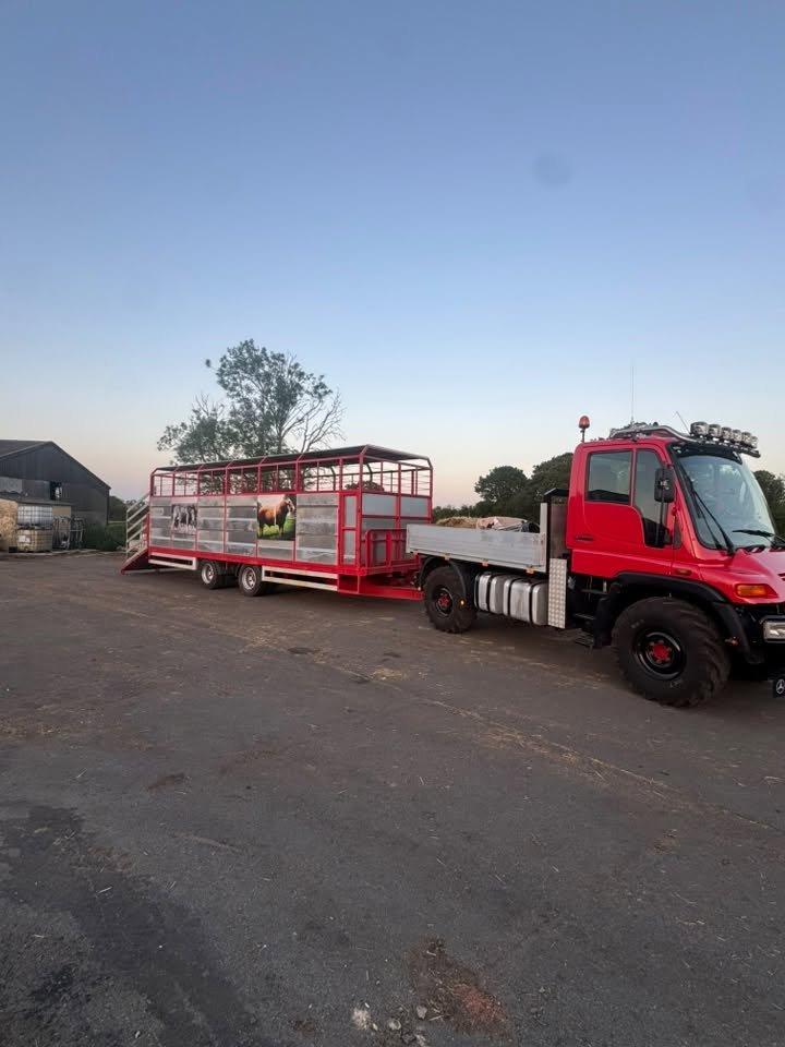 2003 Mercedes-Benz Unimog U300 — photo 8