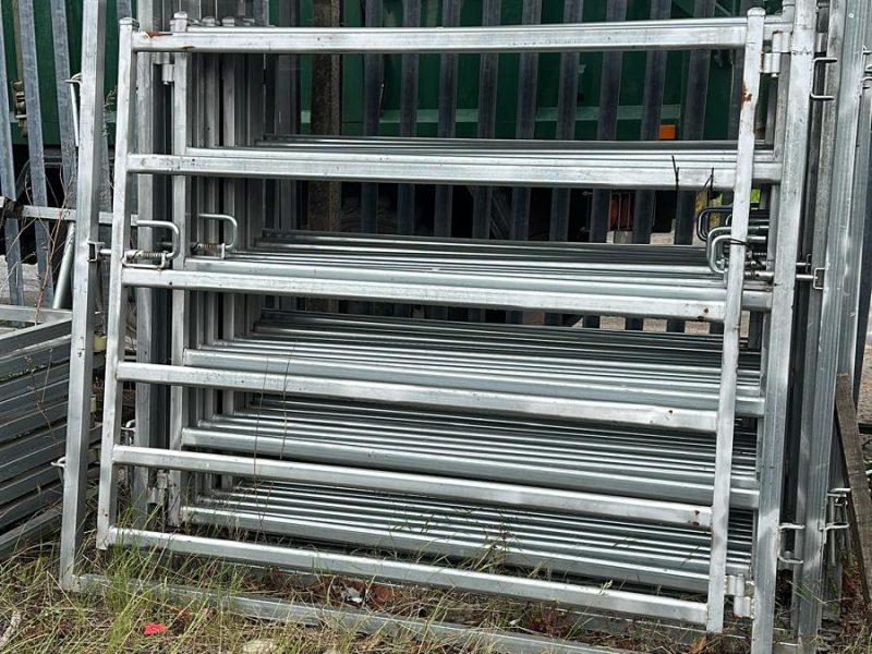 WhatsApp Image 2026-02-18 at 20.08.55