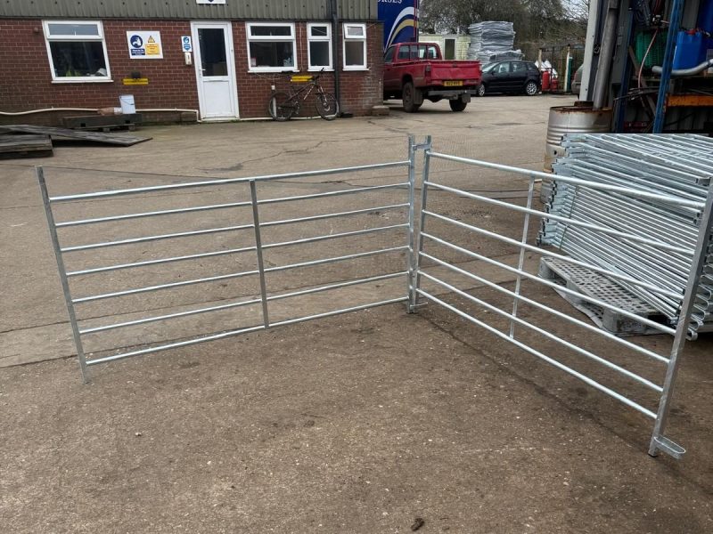 WhatsApp Image 2026-02-18 at 19.38.08